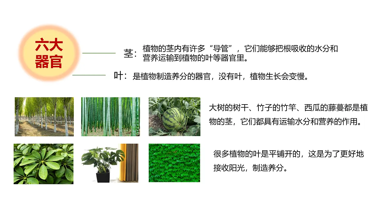 17946405第8页