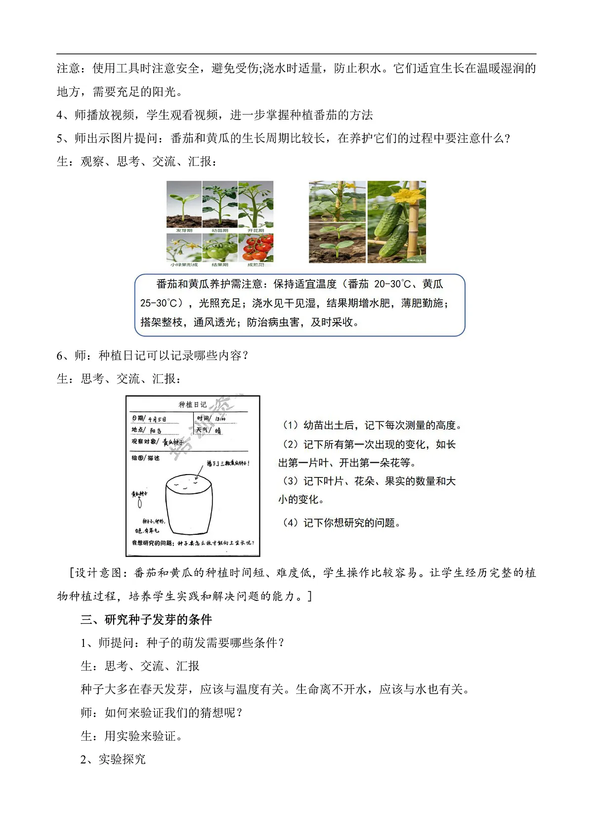 苏教版小学科学三年级下册《5.种子发芽了》教案第3页
