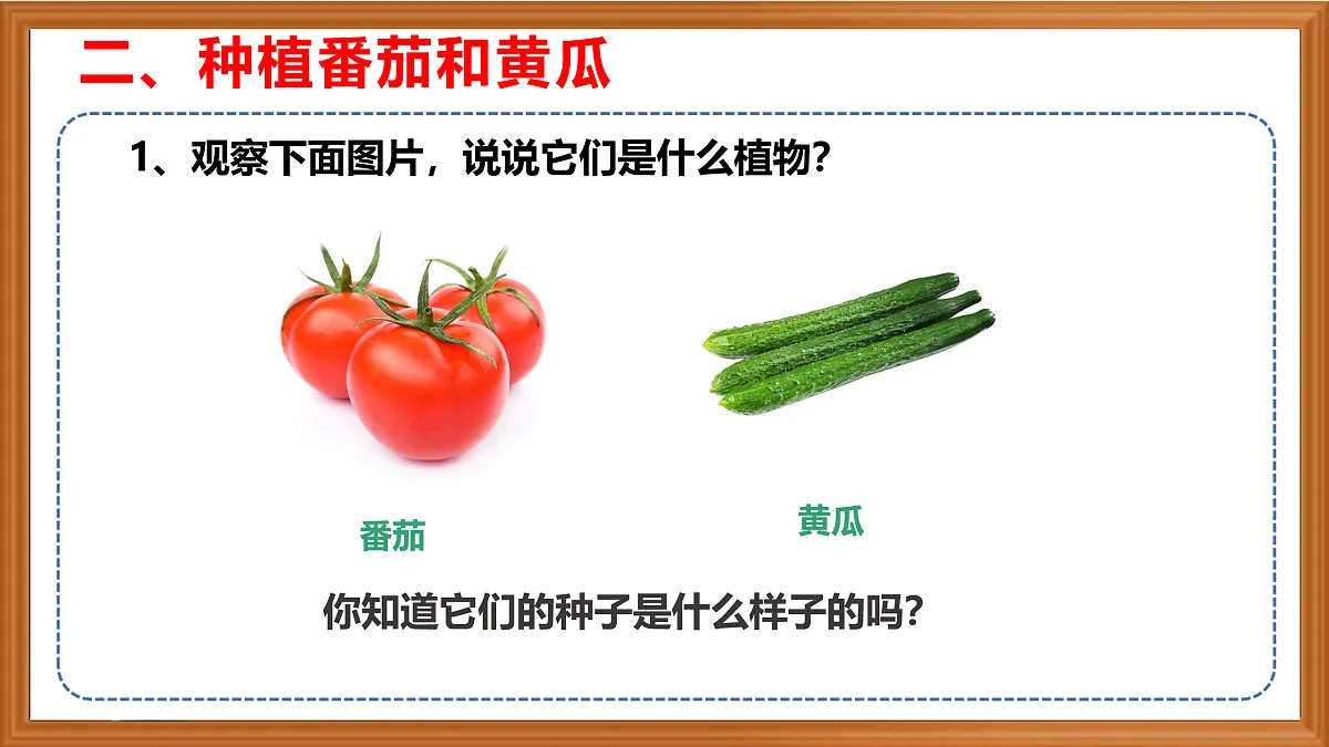 苏教版小学科学三年级下册第二单元《5.种子发芽了》课件+作业设计+视频第7页