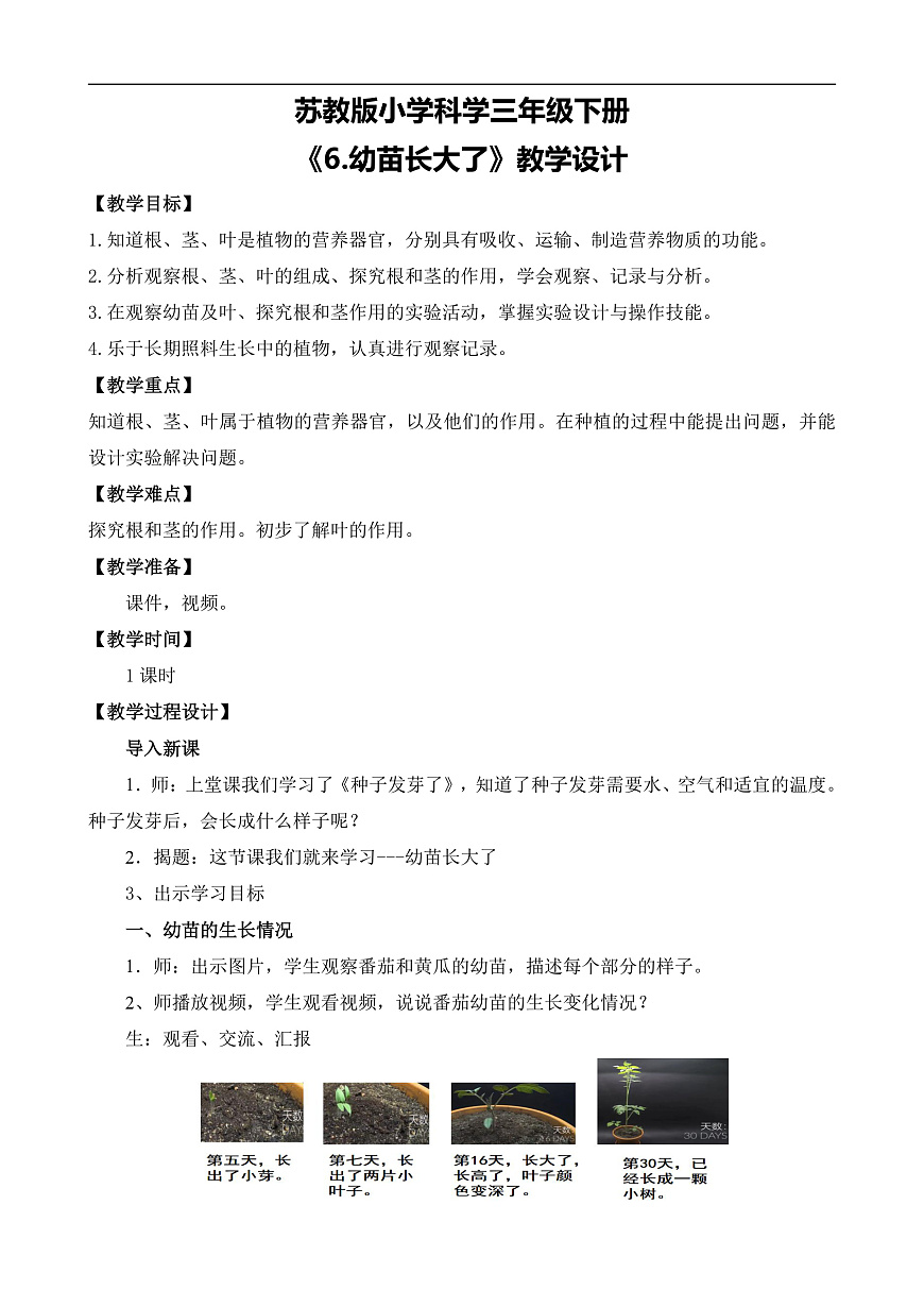 苏教版小学科学三年级下册《6.幼苗长大了》教案第1页