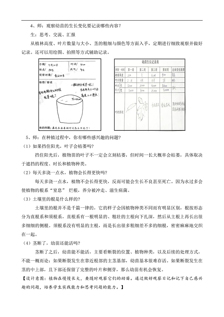 苏教版小学科学三年级下册《6.幼苗长大了》教案第2页