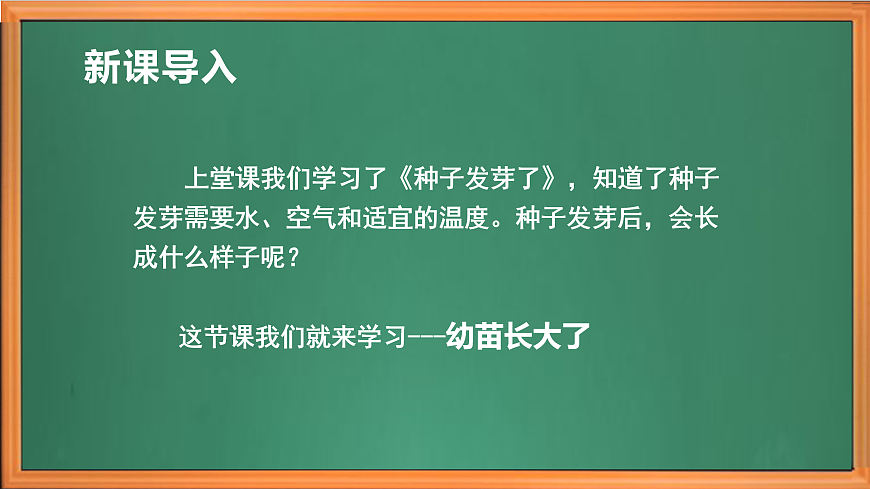 苏教版小学科学三年级下册第一单元《6.幼苗长大了》课件+作业设计+视频第1页