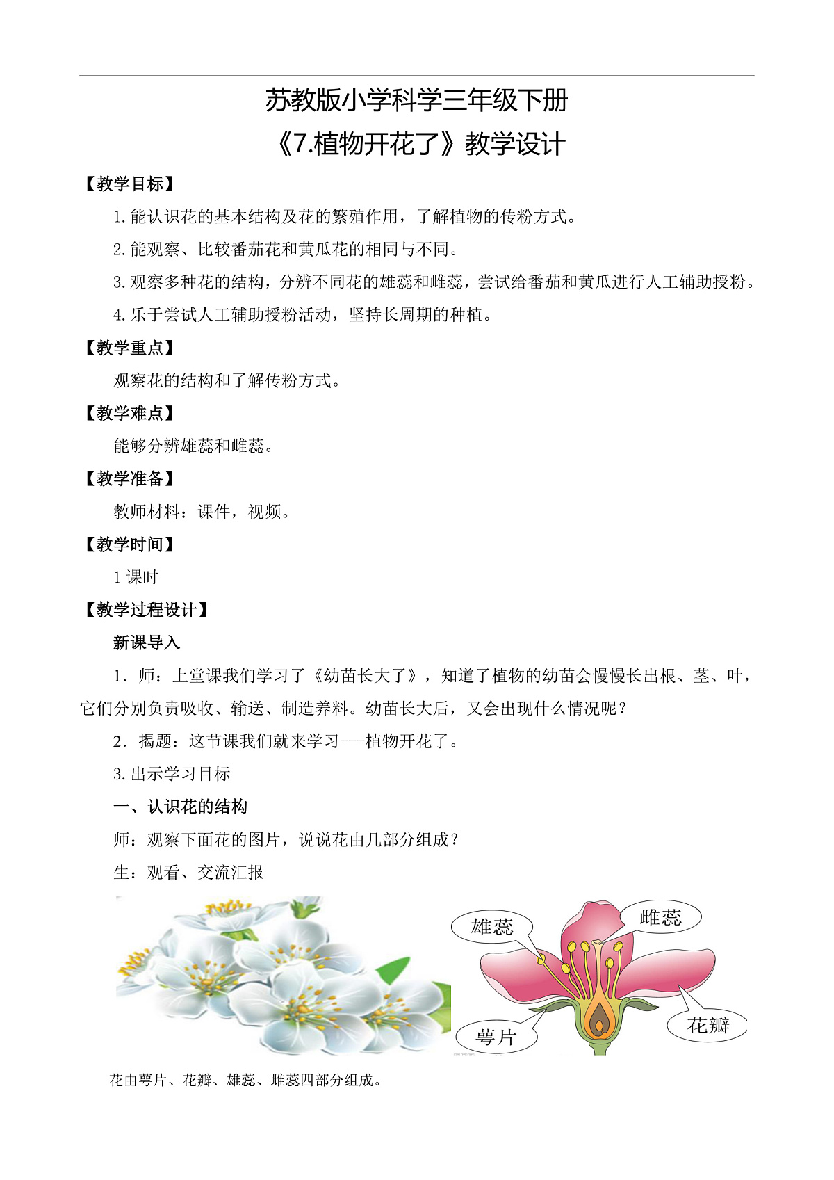 苏教版小学科学三年级下册《7.植物开花了》教案第1页