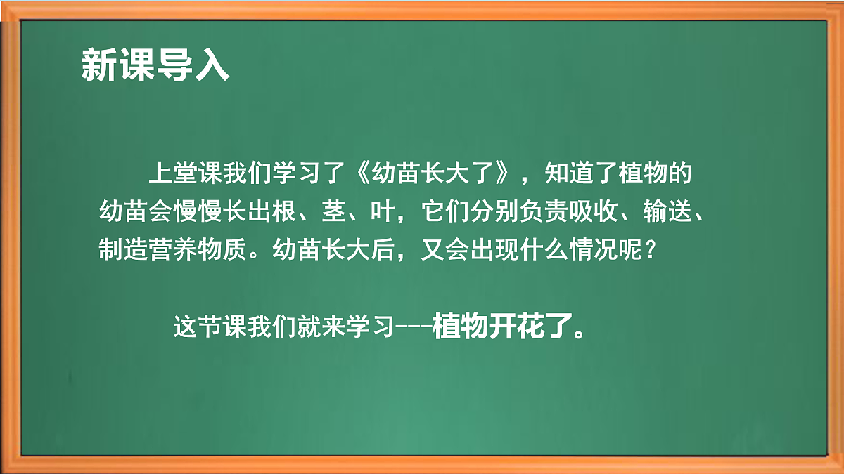 苏教版小学科学三年级下册第二单元《7.植物开花了》课件+作业设计+视频第1页