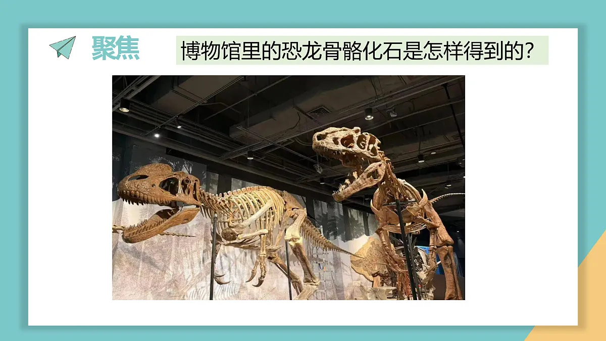17949453第2页