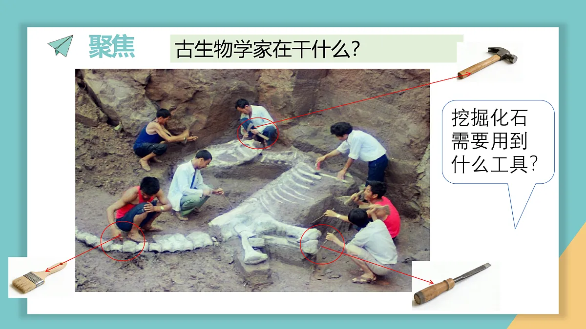 17949453第3页
