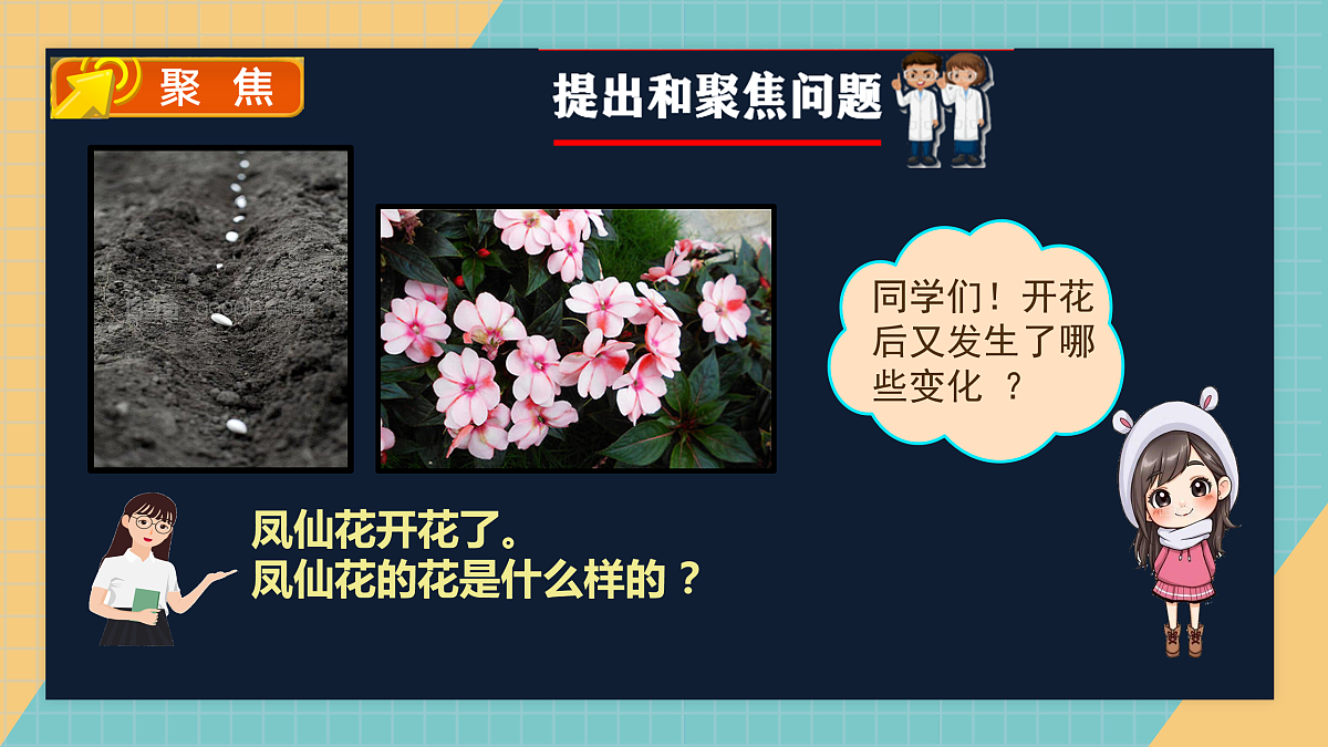 开花结果课件+实验视频第2页