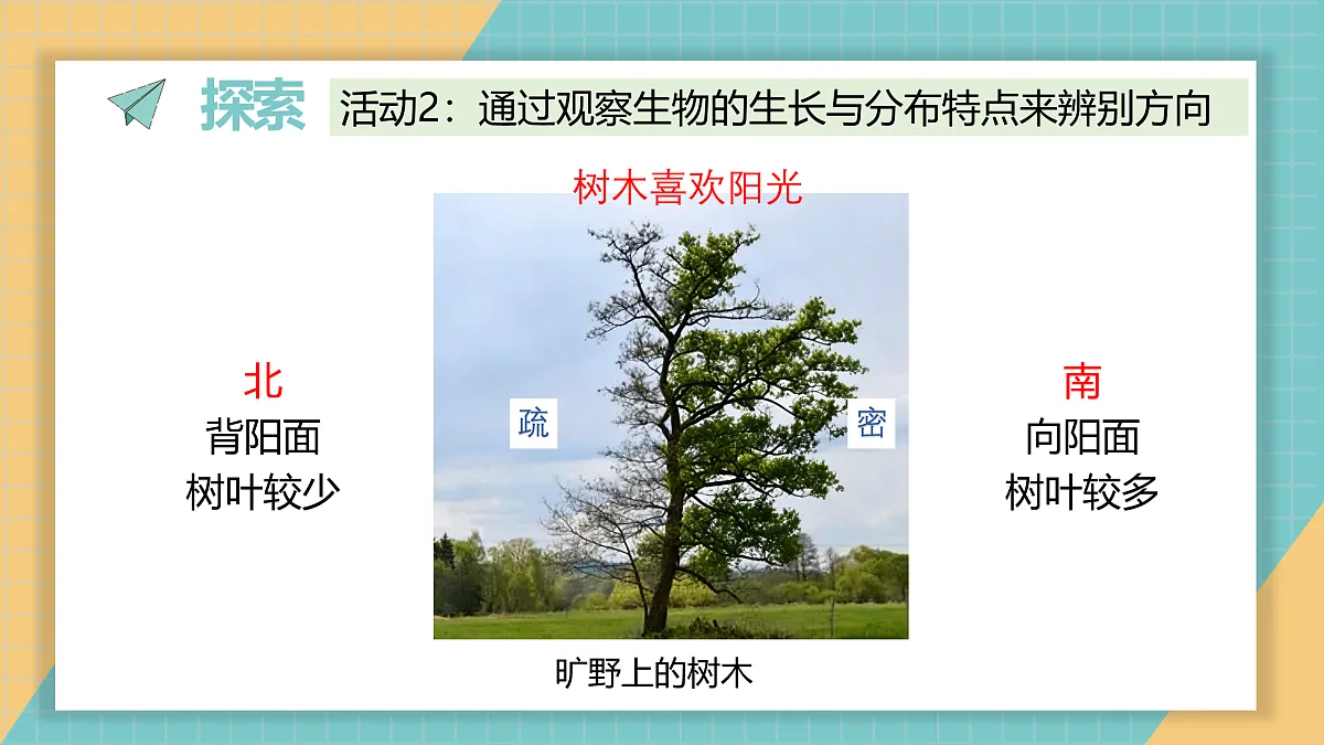 17952368第6页