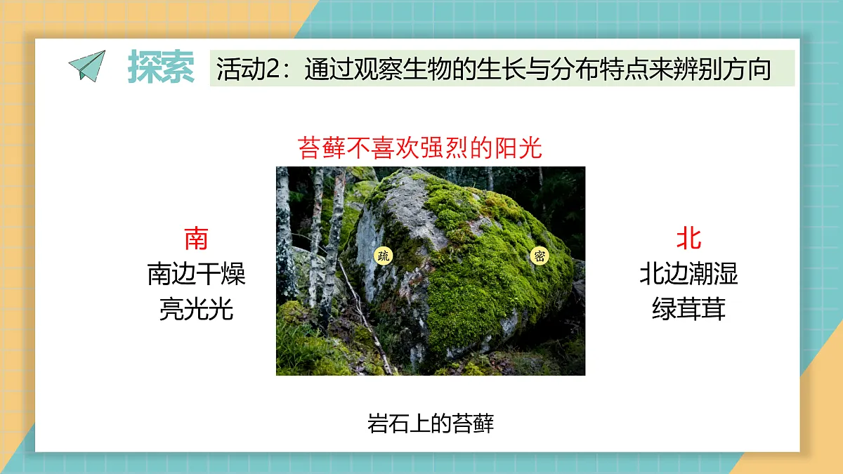 17952368第7页