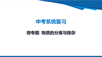 2026年九年级中考化学一轮复习课件微专题12 物质的分离与除杂