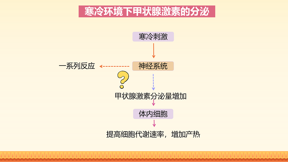 17954491第5页