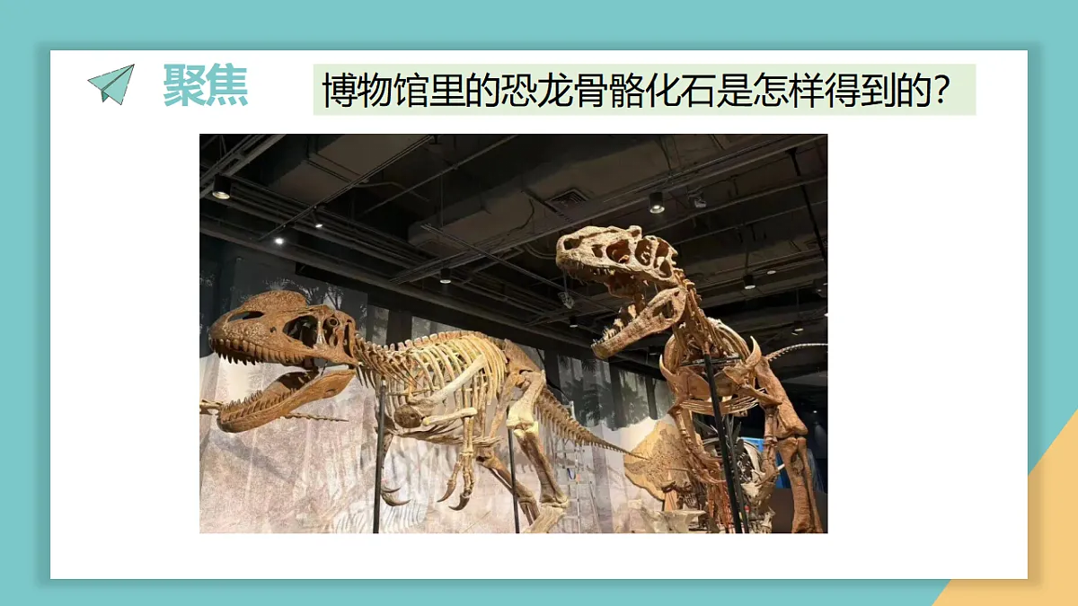 1.2《挖掘恐龙“化石”》课件第2页