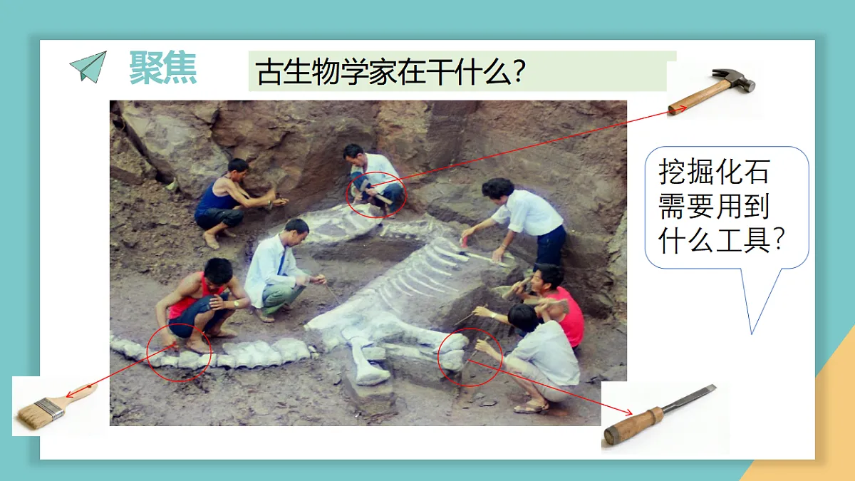1.2《挖掘恐龙“化石”》课件第3页