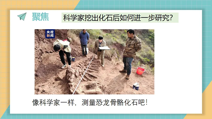 《测量恐龙“化石”》课件第2页