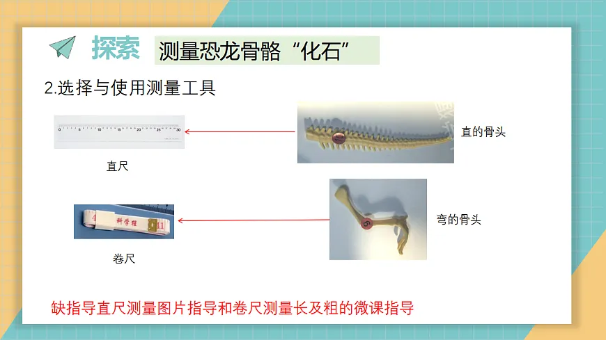 《测量恐龙“化石”》课件第4页