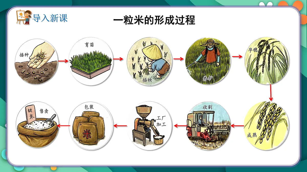 新湘美版小学三年级美术下册第二单元第3课l粒粒皆辛苦第3页