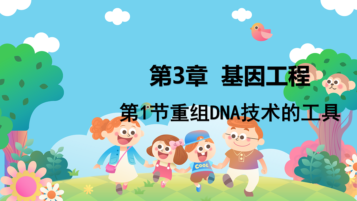 17955556第1页