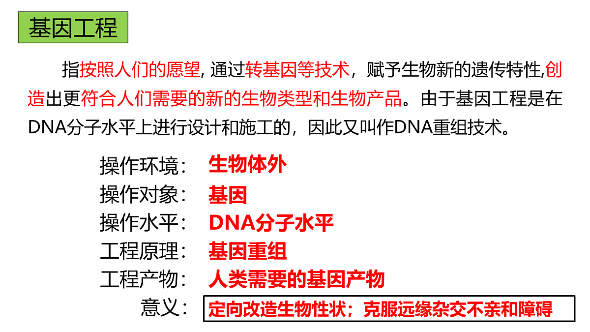 17955556第2页