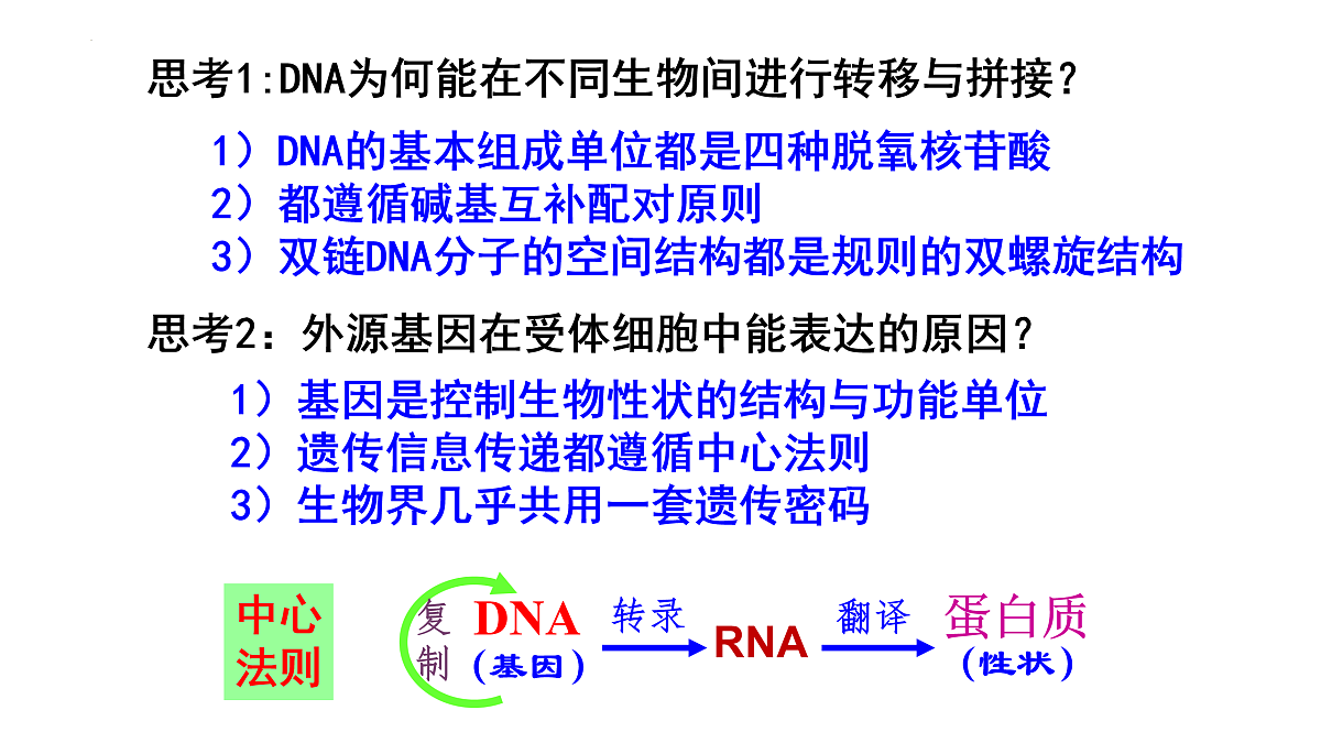 17955556第3页