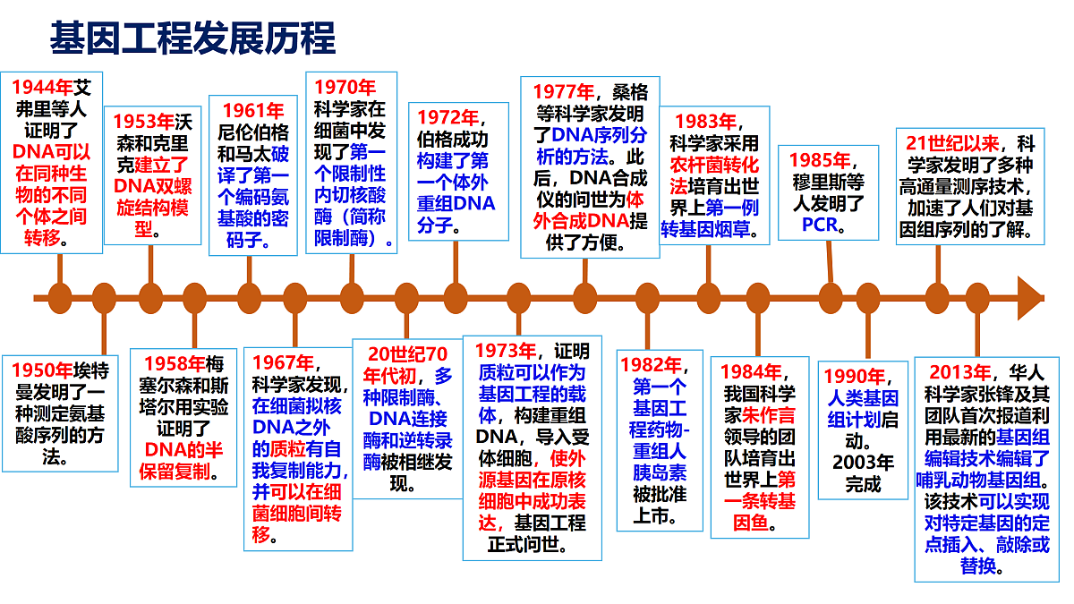 17955556第4页