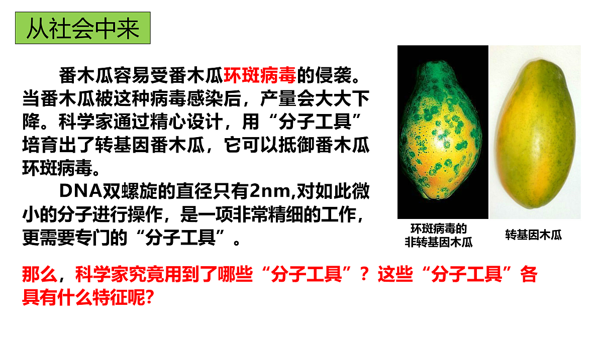17955556第5页