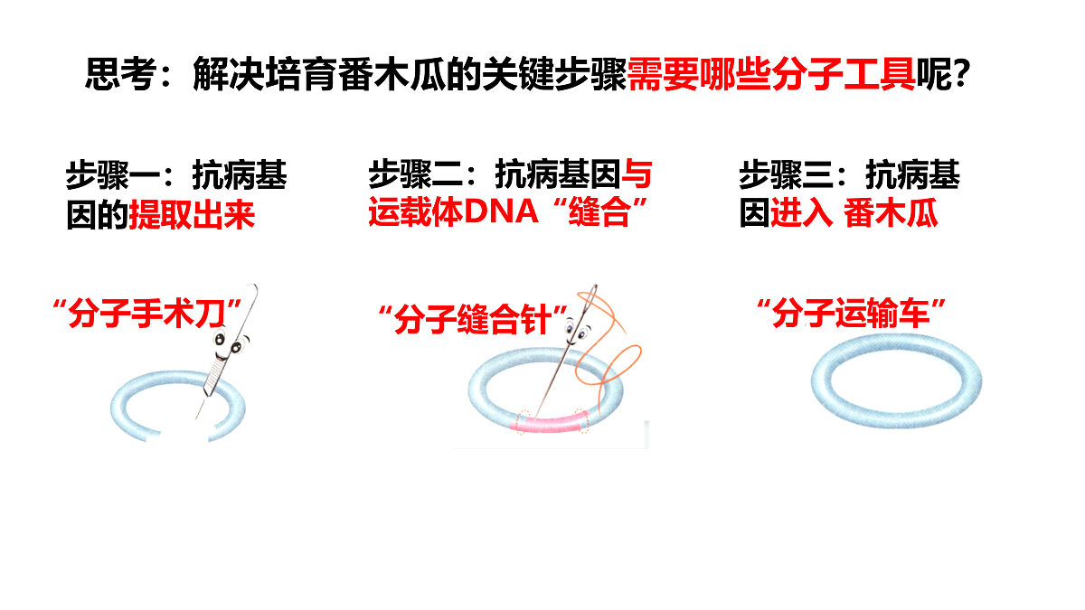 17955556第6页