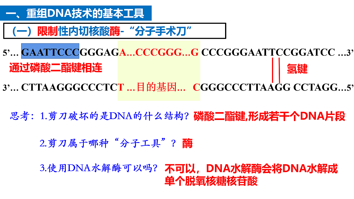 17955556第7页