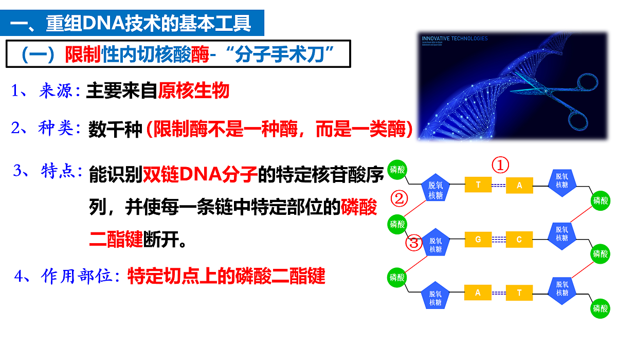 17955556第8页