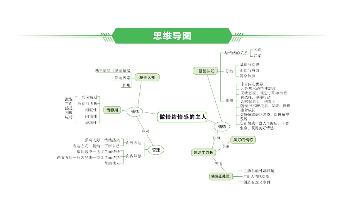 17955780第2页