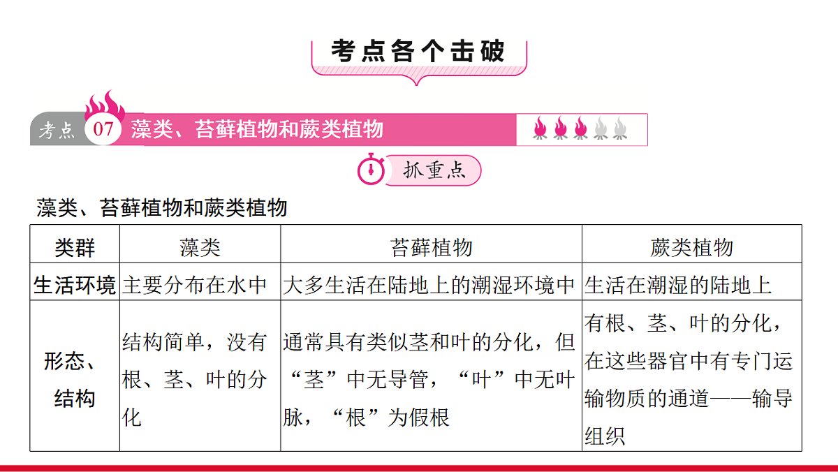 17955871第3页