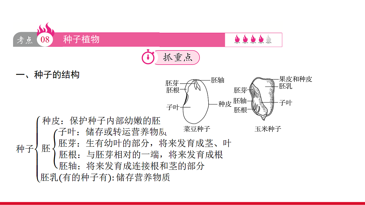 17955871第8页