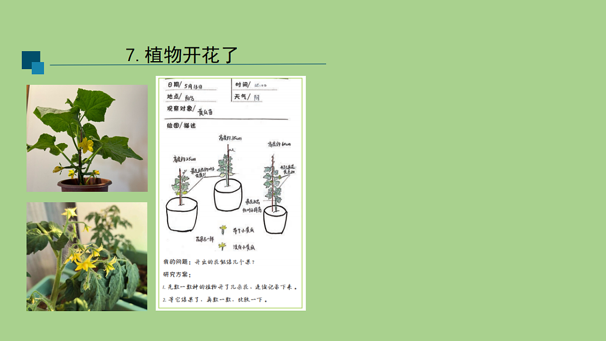17955902第3页