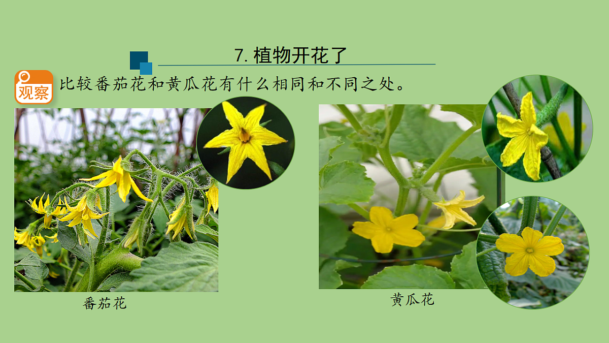 17955902第5页