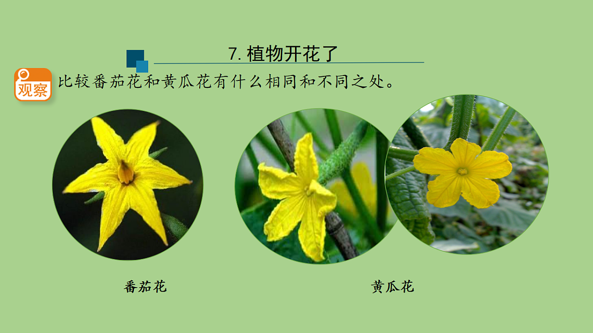 17955902第6页