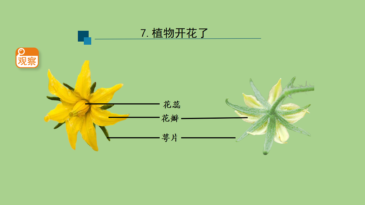 17955902第7页