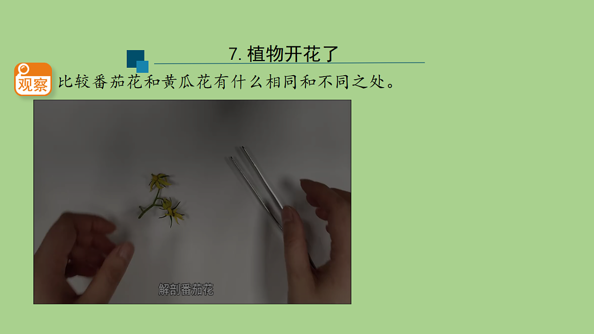 17955902第8页