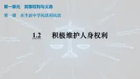 高中政治 (道德与法治)人教统编版选择性必修2 法律与生活积极维护人身权利授课ppt课件