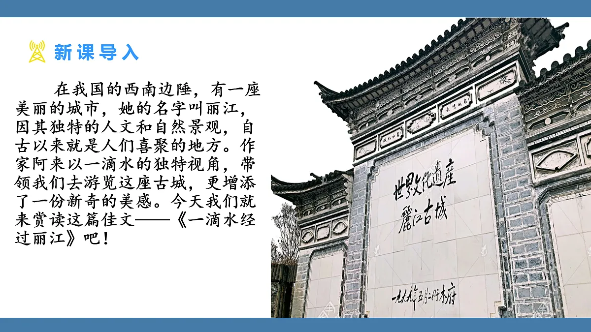 17956647第3页
