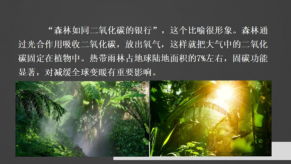 17958726第2页