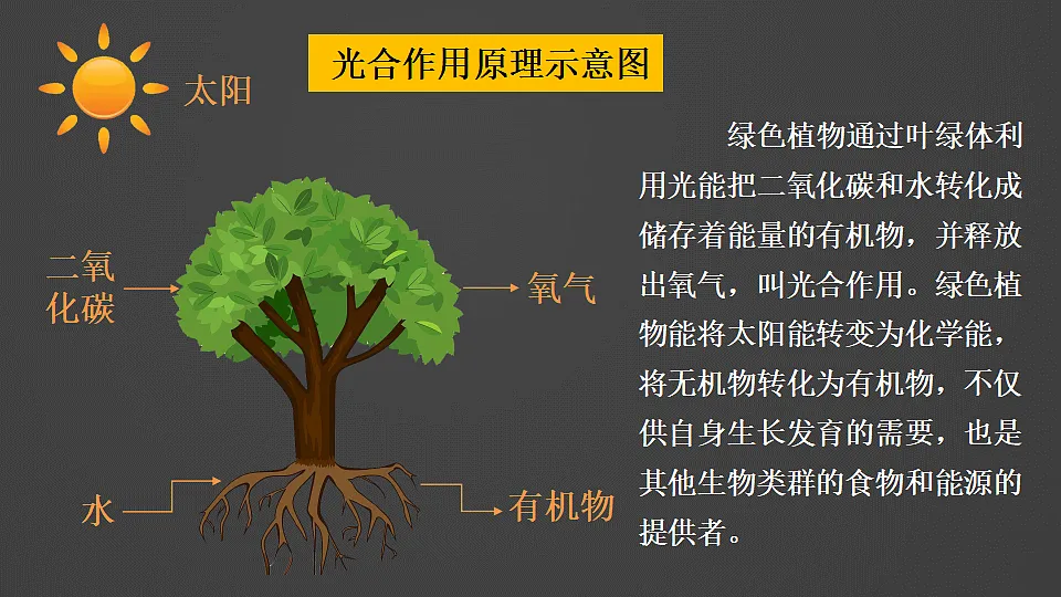 17958726第4页