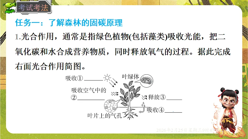 17958726第5页
