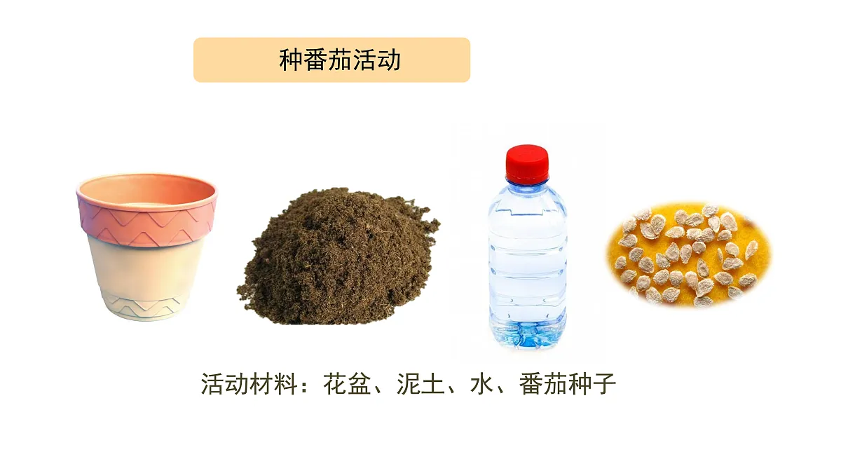 2.5《种子发芽了》 课件 -2025-2026学年科学三年级下册苏教版第7页