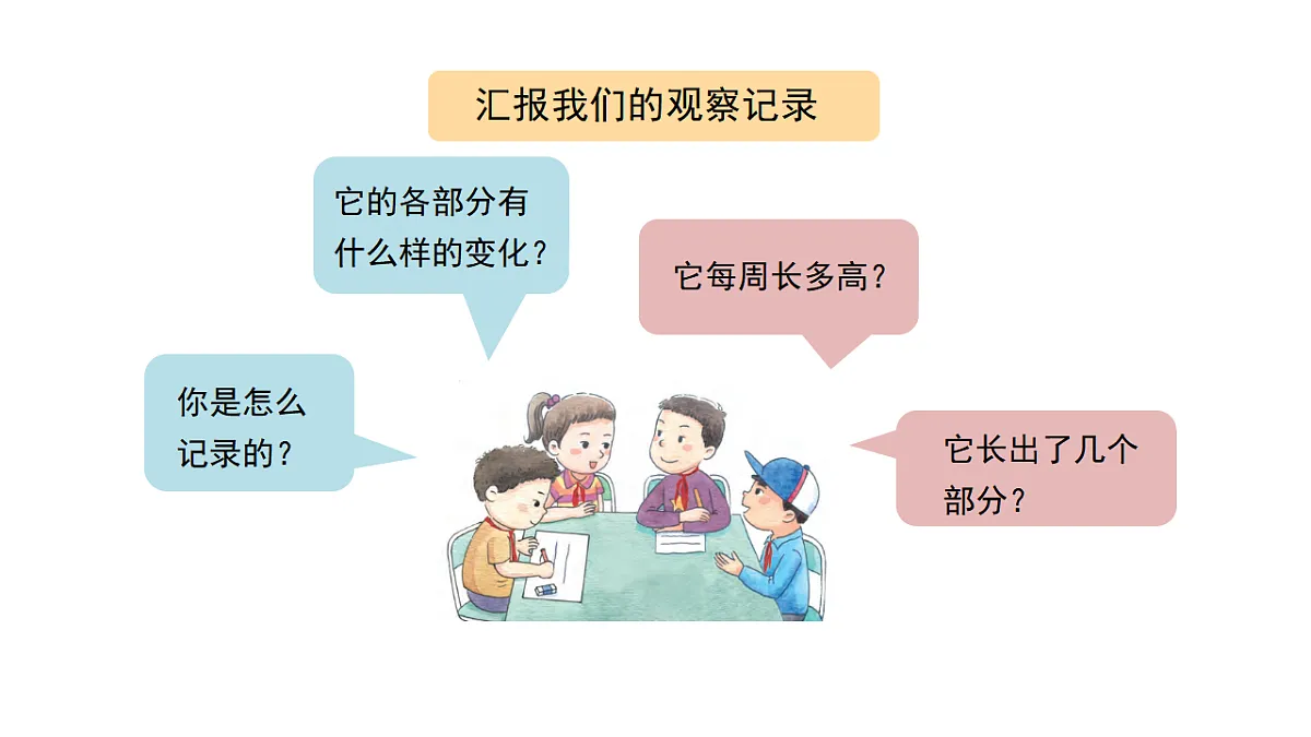 2.8《植物结果了》 课件 -2025-2026学年科学三年级下册苏教版第3页
