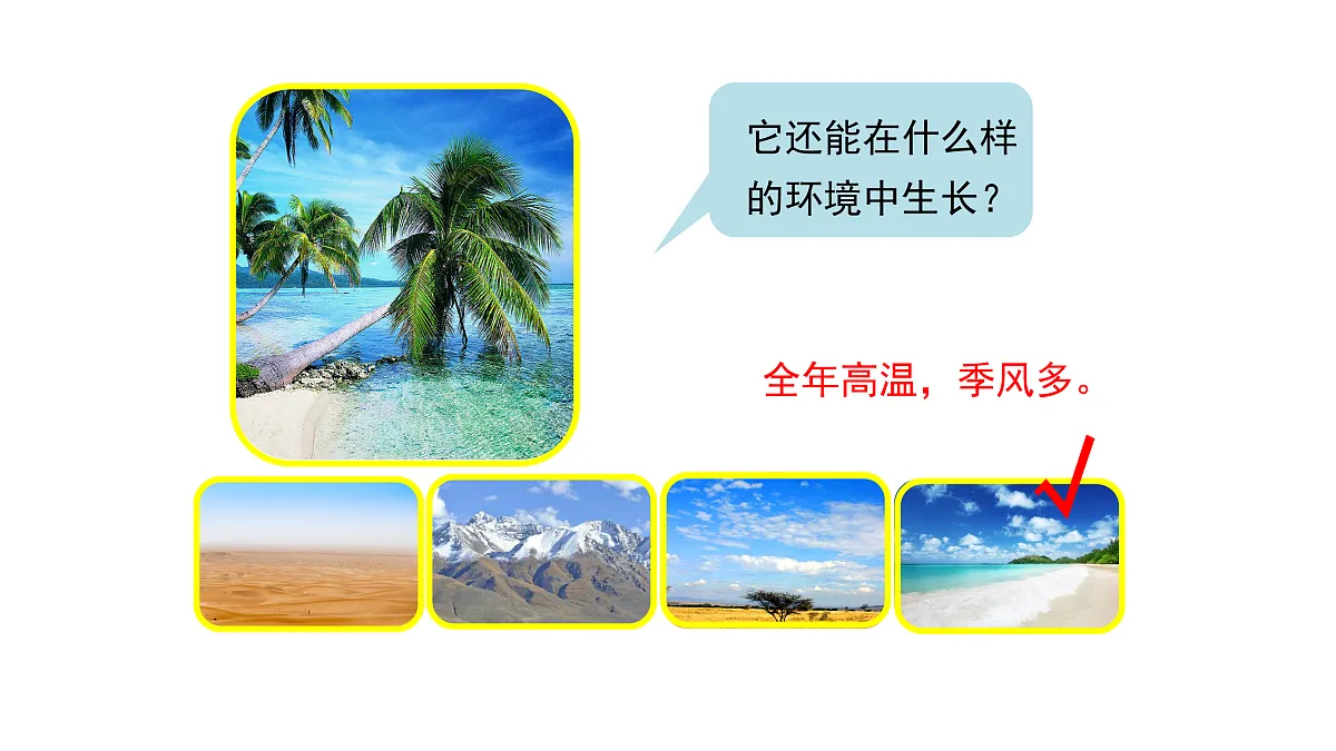 3.9《形态各异的植物》 课件 -2025-2026学年科学三年级下册苏教版第7页