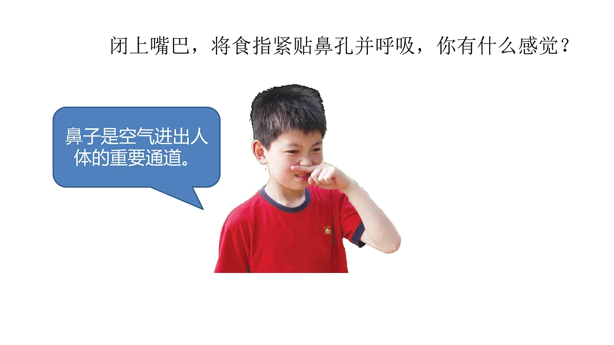 5.17《人的呼吸器官》 课件 -2025-2026学年科学三年级下册苏教版第2页