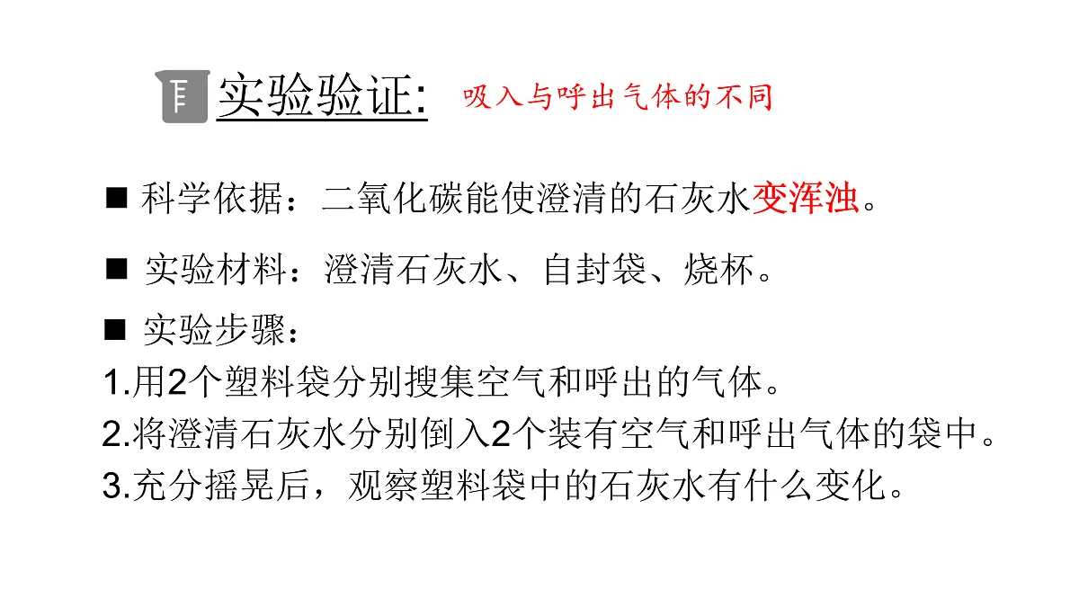 5.17《人的呼吸器官》 课件 -2025-2026学年科学三年级下册苏教版第4页