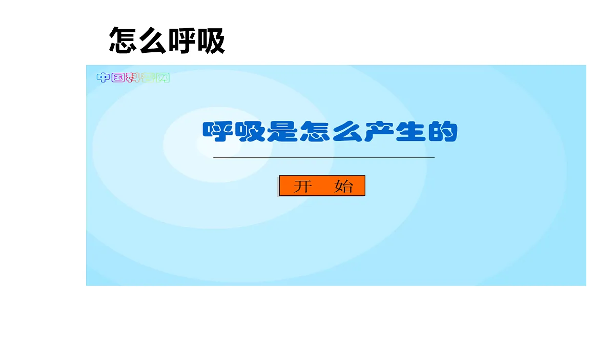 5.17《人的呼吸器官》 课件 -2025-2026学年科学三年级下册苏教版第6页