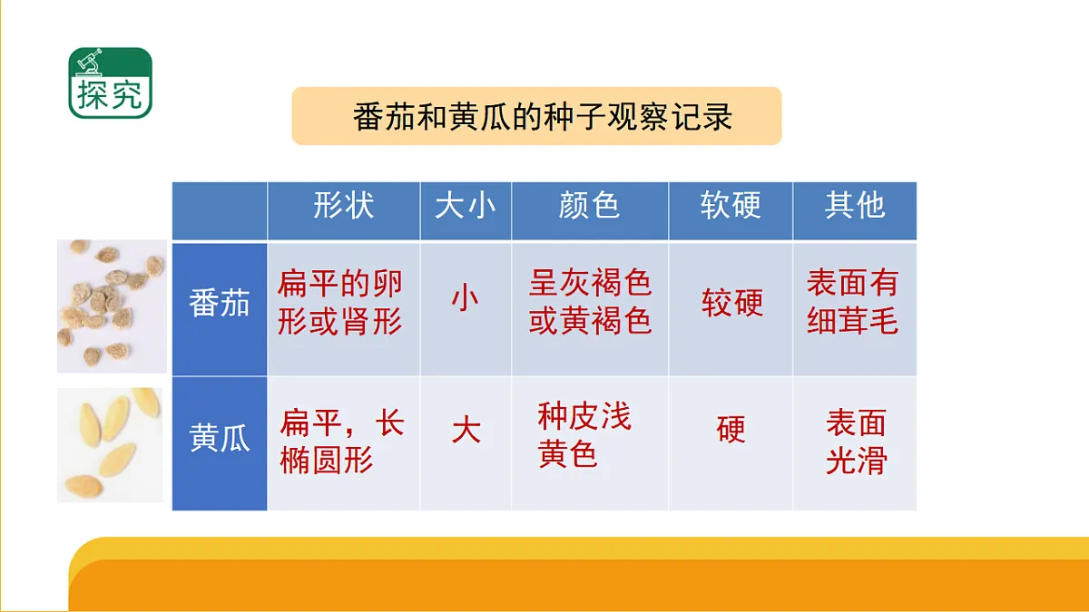 17959384第6页