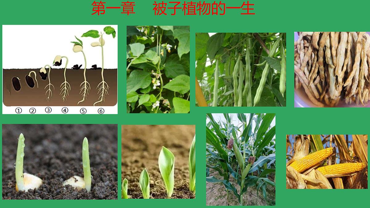 17959469第1页