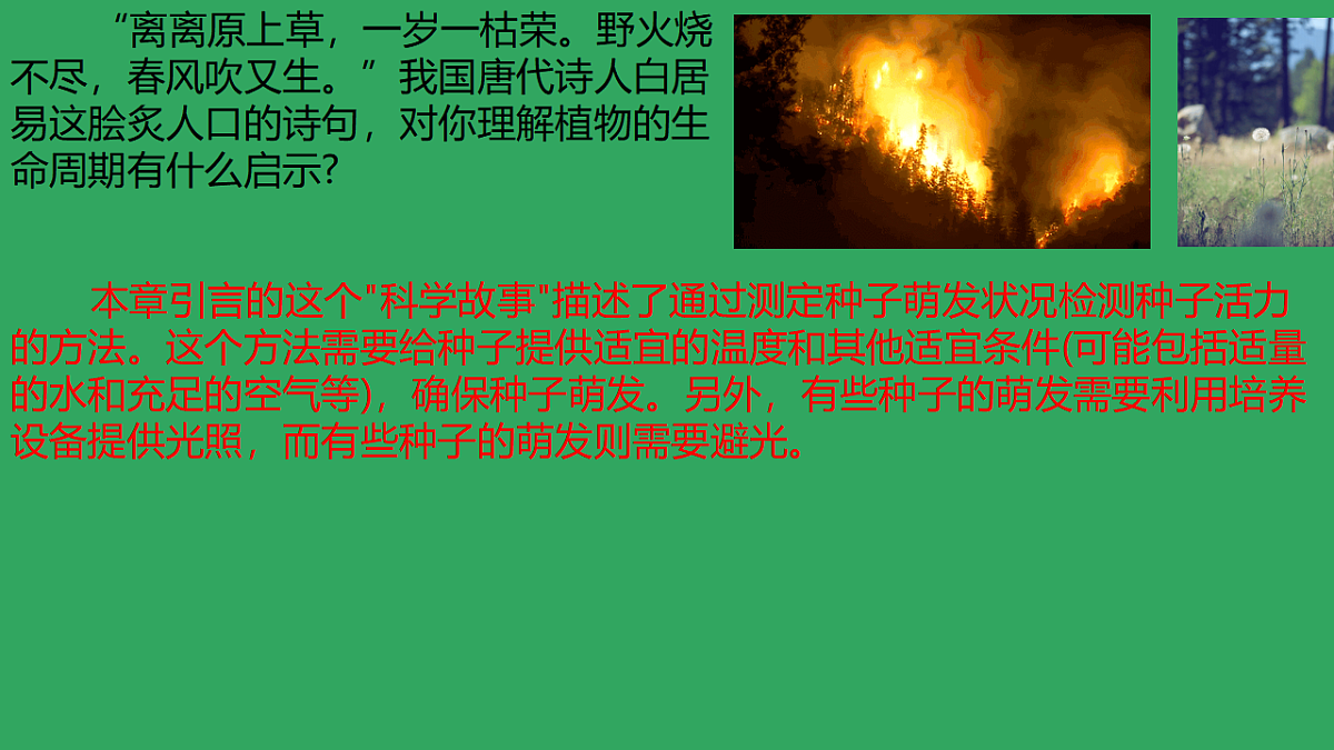 17959469第5页